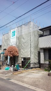 DSC_0269.jpg image